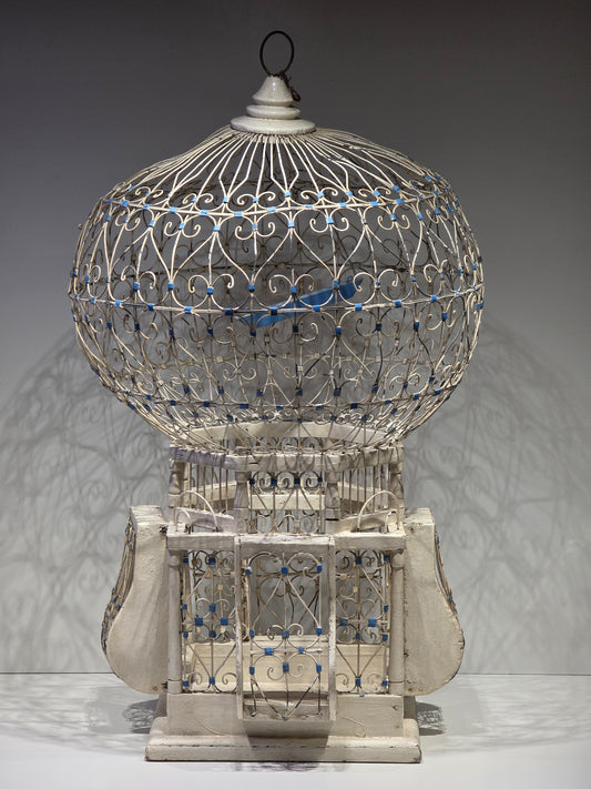 Cage a oiseau 🐦 Sidi bou said métal et bois